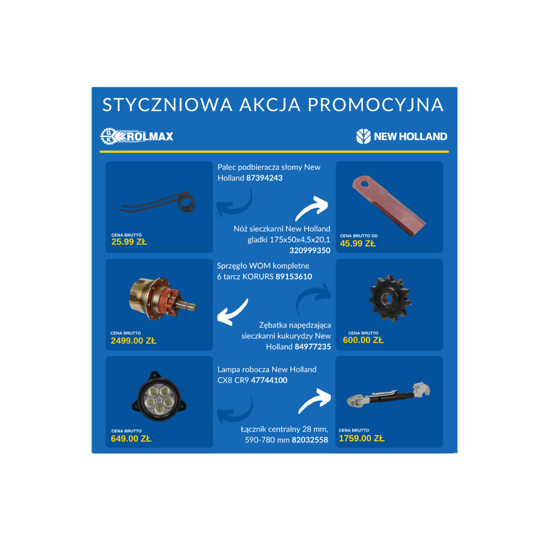 STYCZNIOWA AKCJA PROMOCYJNA